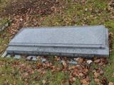 image of grave number 471481